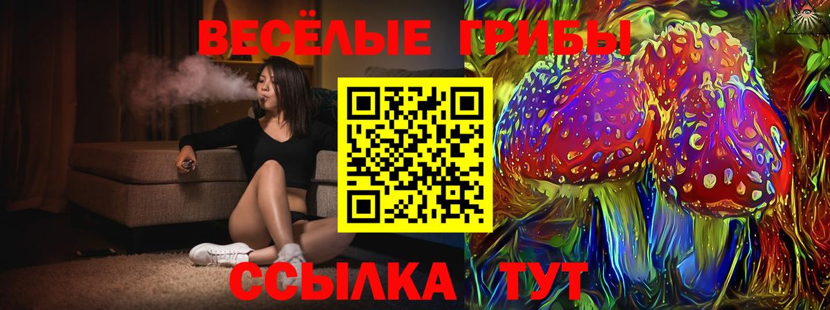 Галлюциногенные грибы мицелий  Вход с VPN  Галлюциногенные грибы Cubensis  Бийск 